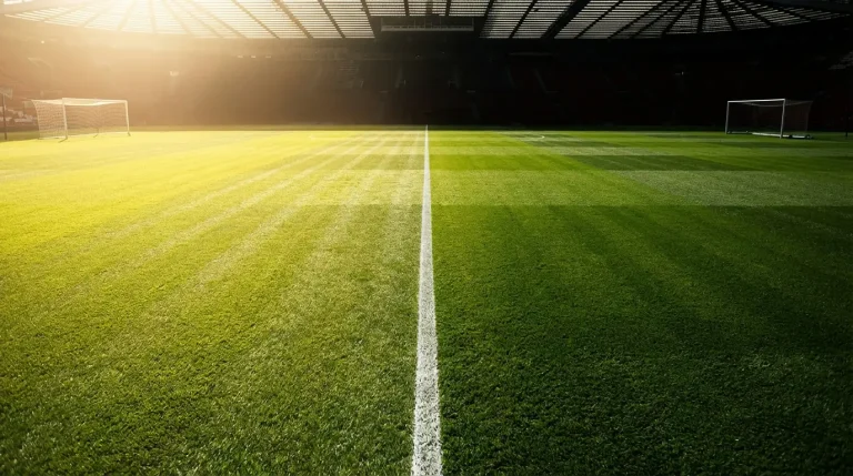 Campo da calcio diviso a metà con una linea bianca netta e luce contrastante tra le due metà